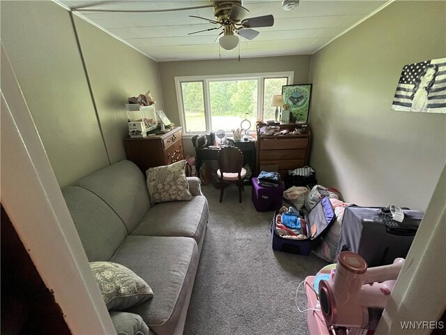 11310 Stage Rd, Newstead, NY 14001 - photo 13
