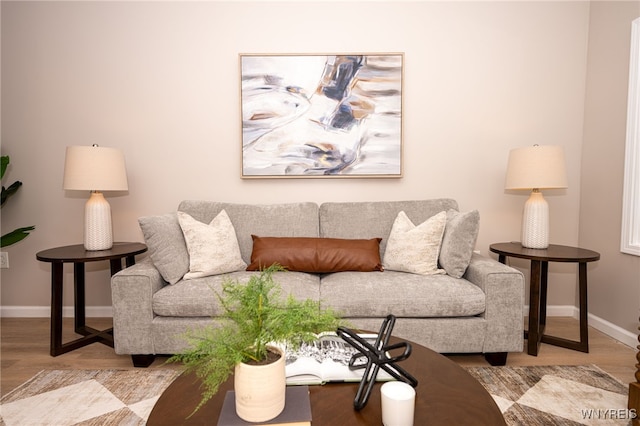 827 Tifft St, Buffalo, NY 14220 - living room featuring wood finished floors