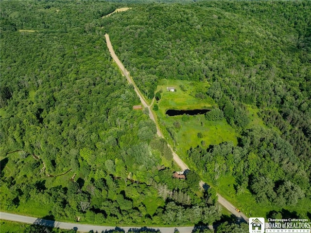 0 Morgan Hollow Rd, Franklinville, NY 14737 - photo 1