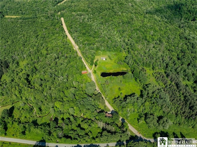 0 Morgan Hollow Rd, Franklinville, NY 14737 - photo 2