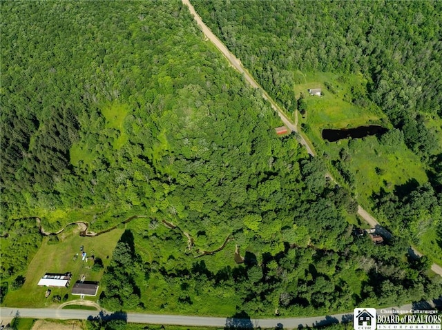 0 Morgan Hollow Rd, Franklinville, NY 14737 - photo 3