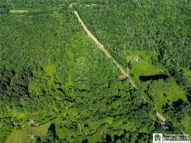 0 Morgan Hollow Rd, Franklinville, NY 14737 - photo 4