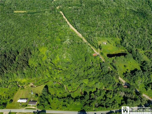 0 Morgan Hollow Rd, Franklinville, NY 14737 - photo 6