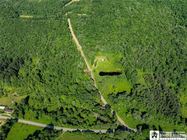 0 Morgan Hollow Rd, Franklinville, NY 14737 - photo 7
