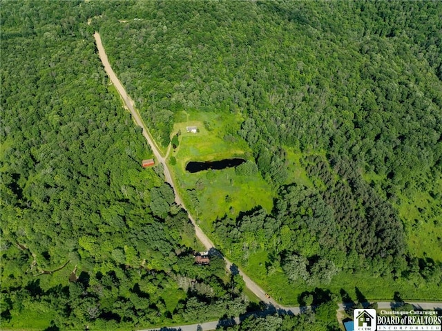 0 Morgan Hollow Rd, Franklinville, NY 14737 - photo 8