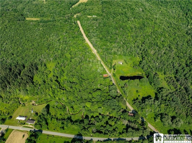 0 Morgan Hollow Rd, Franklinville, NY 14737 - photo 9