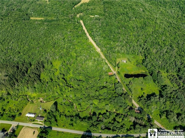 0 Morgan Hollow Rd, Franklinville, NY 14737 - photo 10