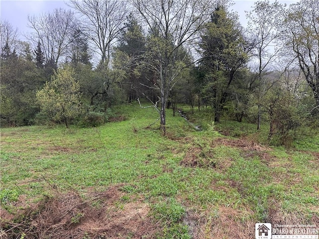 0 Morgan Hollow Rd, Franklinville, NY 14737 - photo 11