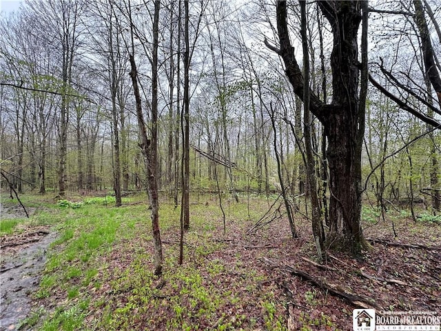 0 Morgan Hollow Rd, Franklinville, NY 14737 - photo 14