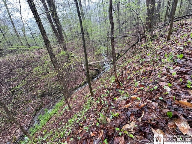 0 Morgan Hollow Rd, Franklinville, NY 14737 - photo 15