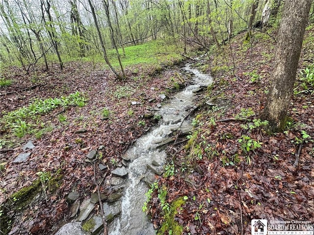 0 Morgan Hollow Rd, Franklinville, NY 14737 - photo 16