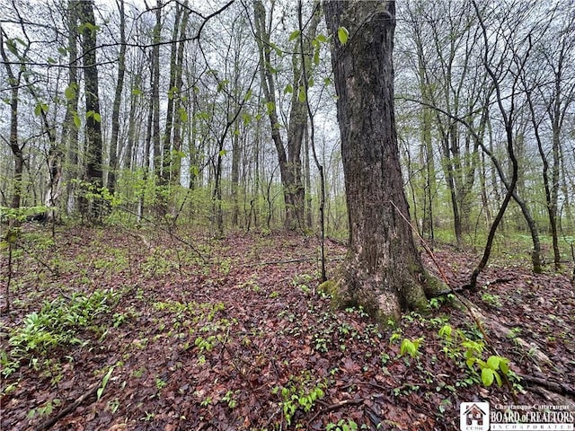 0 Morgan Hollow Rd, Franklinville, NY 14737 - photo 17