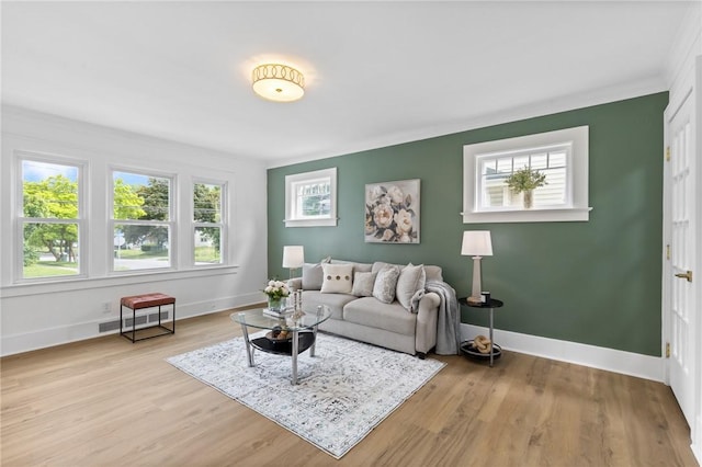 2079 Clifford Ave, Rochester, NY 14609 - living room featuring light wood-type flooring and ornamental molding
