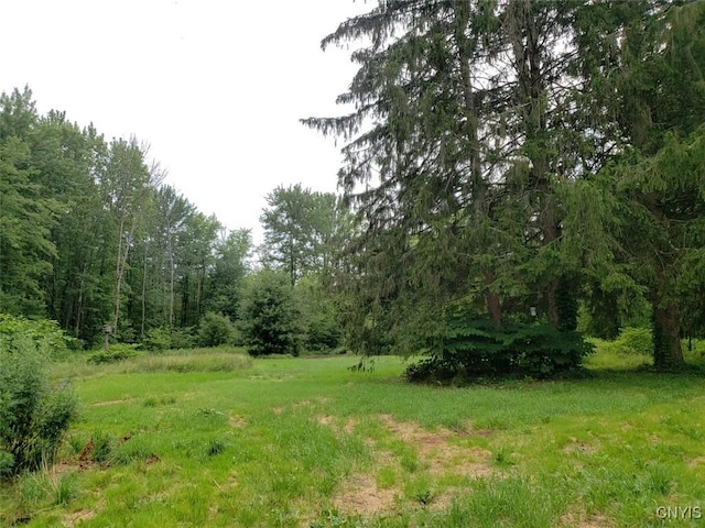 3119 County Route 4, Volney, NY 13069 - photo 4