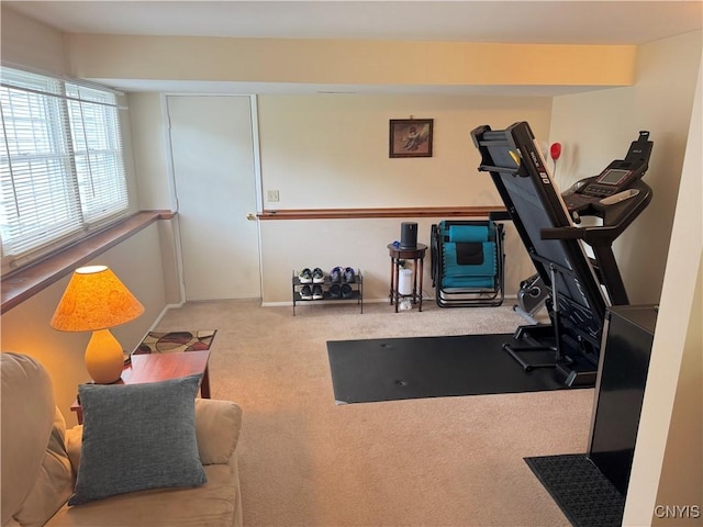 8467 Torchwood Ln, Cicero, NY 13039 - exercise room with carpet and baseboards