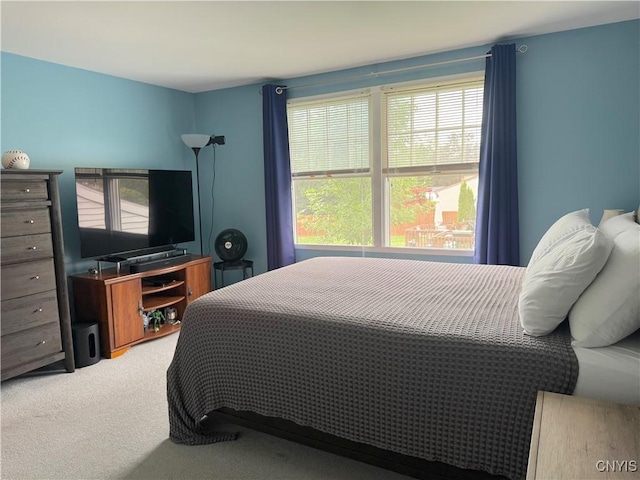 8467 Torchwood Ln, Cicero, NY 13039 - bedroom featuring light colored carpet