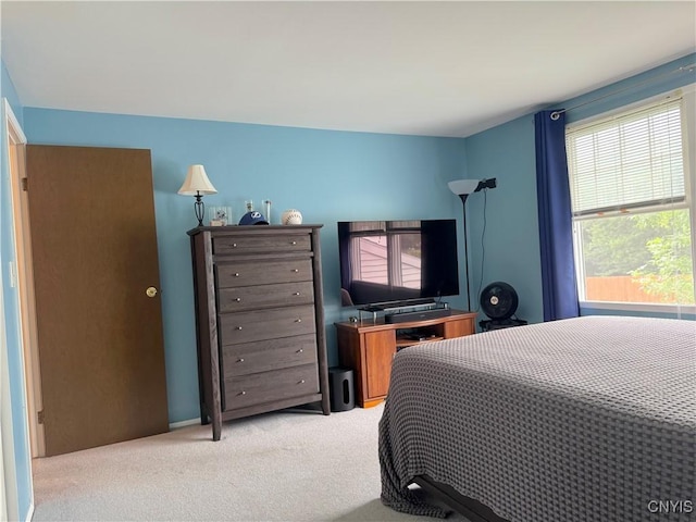 8467 Torchwood Ln, Cicero, NY 13039 - bedroom featuring multiple windows and light carpet