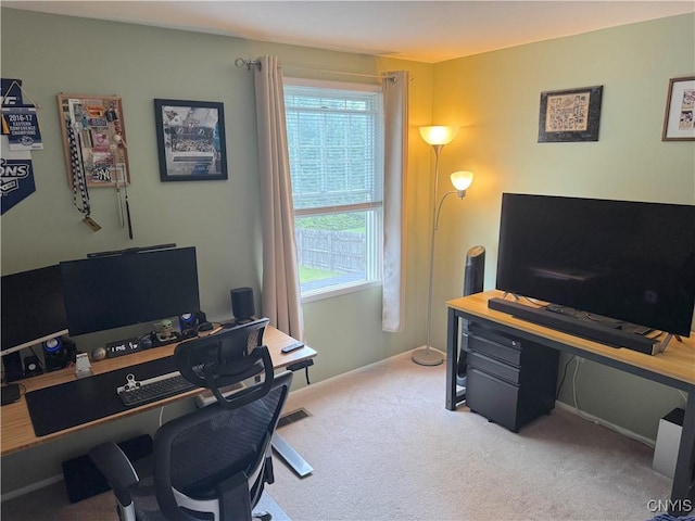 8467 Torchwood Ln, Cicero, NY 13039 - office space featuring light carpet and healthy amount of natural light