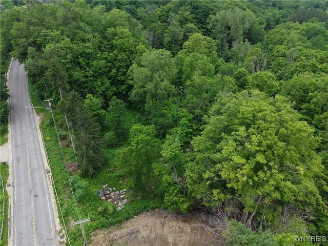 8762 Lower E Hill Rd, Colden, NY 14033 - photo 4
