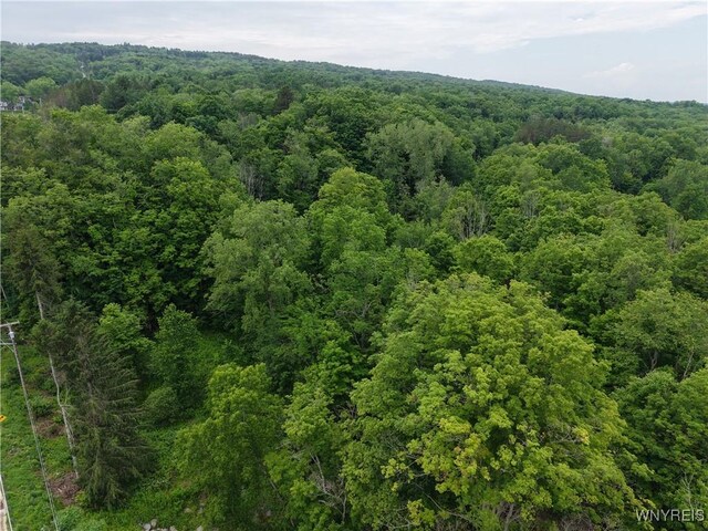 8762 Lower E Hill Rd, Colden, NY 14033 - photo 5