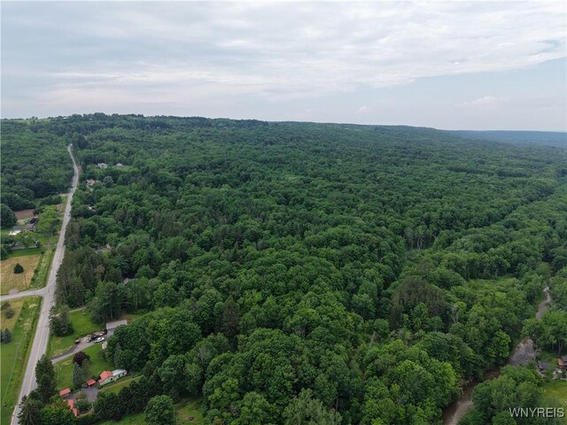 8762 Lower E Hill Rd, Colden, NY 14033 - photo 6