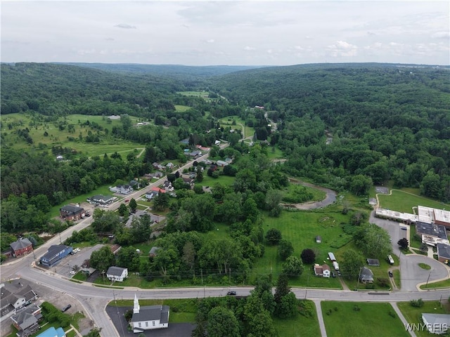 8762 Lower E Hill Rd, Colden, NY 14033 - photo 7