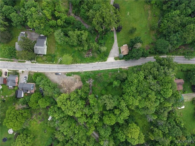 8762 Lower E Hill Rd, Colden, NY 14033 - photo 9