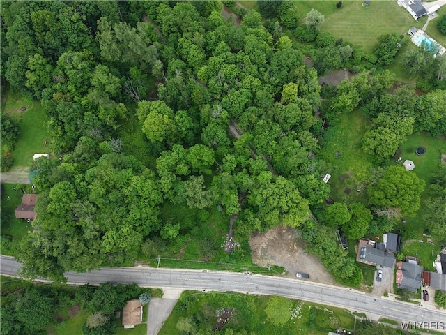 8762 Lower E Hill Rd, Colden, NY 14033 - photo 10