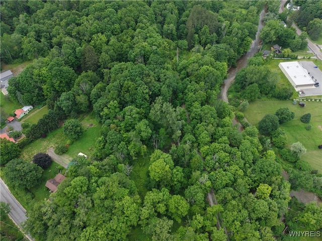 8762 Lower E Hill Rd, Colden, NY 14033 - photo 12