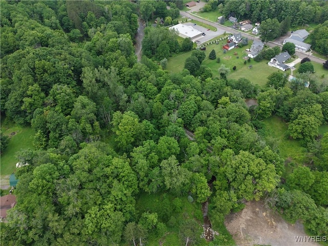 8762 Lower E Hill Rd, Colden, NY 14033 - photo 14
