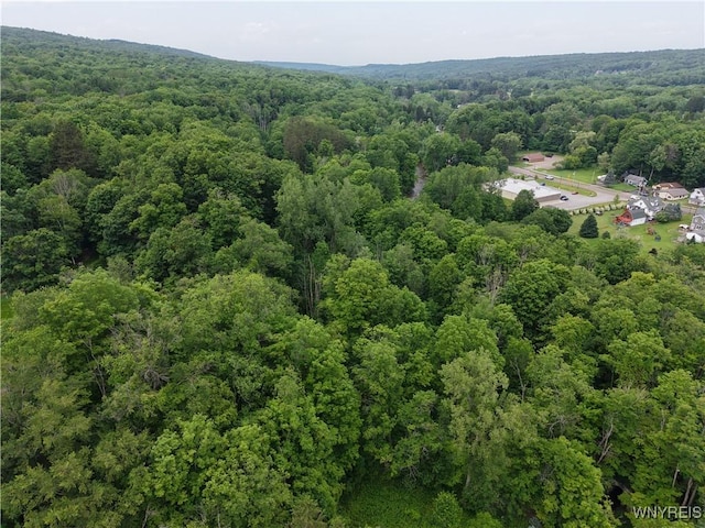 8762 Lower E Hill Rd, Colden, NY 14033 - photo 1
