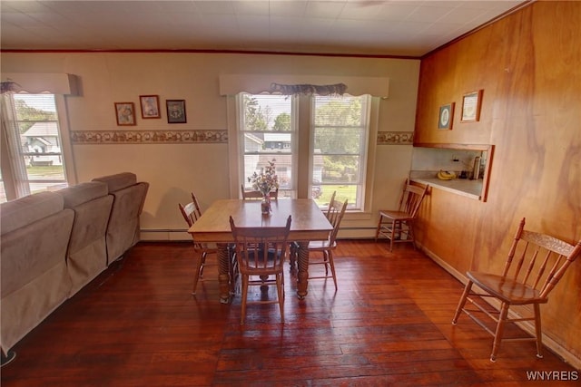 6716 Main St, Cherry Creek, NY 14723 - dining space featuring dark wood-style flooring, ornamental molding, and baseboard heating