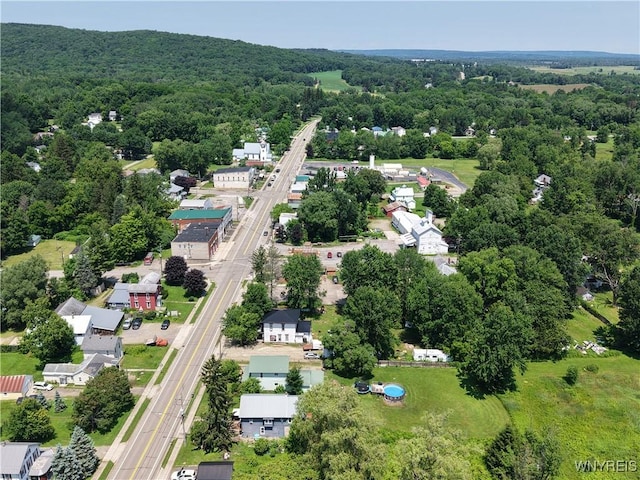 6716 Main St, Cherry Creek, NY 14723 - drone / aerial view of a heavily wooded area