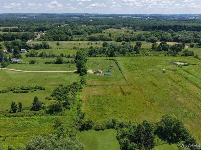 6716 Main St, Cherry Creek, NY 14723 - overview of rural landscape