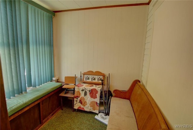 6716 Main St, Cherry Creek, NY 14723 - bedroom featuring wooden walls, carpet floors, and ornamental molding