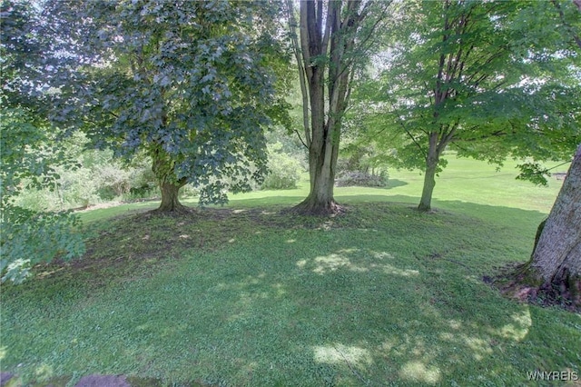6716 Main St, Cherry Creek, NY 14723 - view of grassy yard