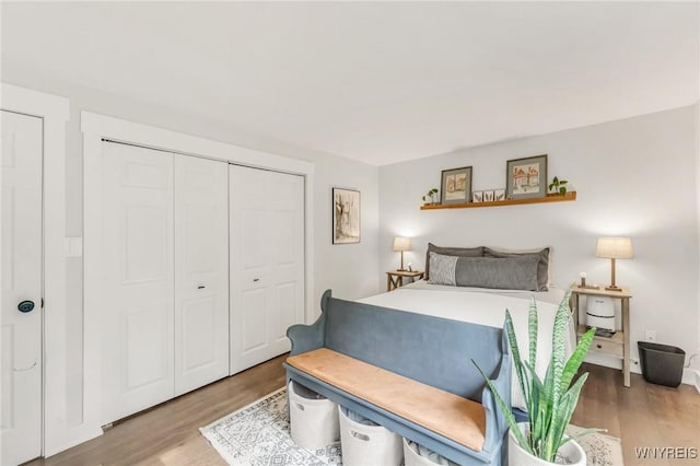 7052 Waring Cir, Evans, NY 14047 - bedroom with wood finished floors and a closet