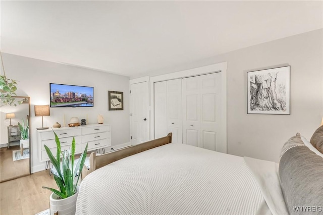 7052 Waring Cir, Evans, NY 14047 - bedroom featuring light wood-type flooring and a closet