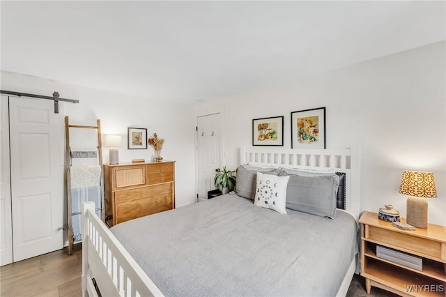 7052 Waring Cir, Evans, NY 14047 - bedroom with a barn door and wood finished floors