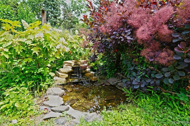 3461 Orchard Park Rd, Orchard Park, NY 14127 - view of yard with a small pond