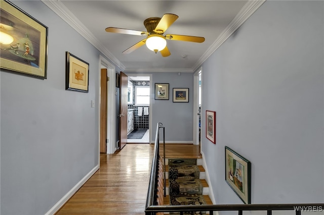 66 Devonshire Rd, Tonawanda, NY 14223 - hall with wood finished floors and ornamental molding