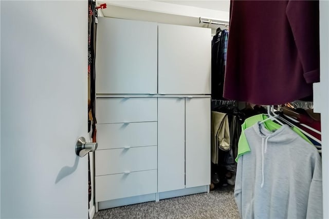 56 Waterview Cir, Penfield, NY 14625 - walk in closet with carpet flooring