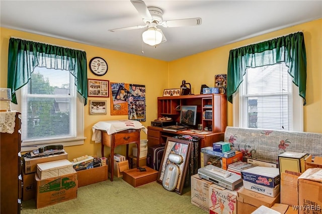 151 Wardman Rd, Tonawanda, NY 14217 - photo 22