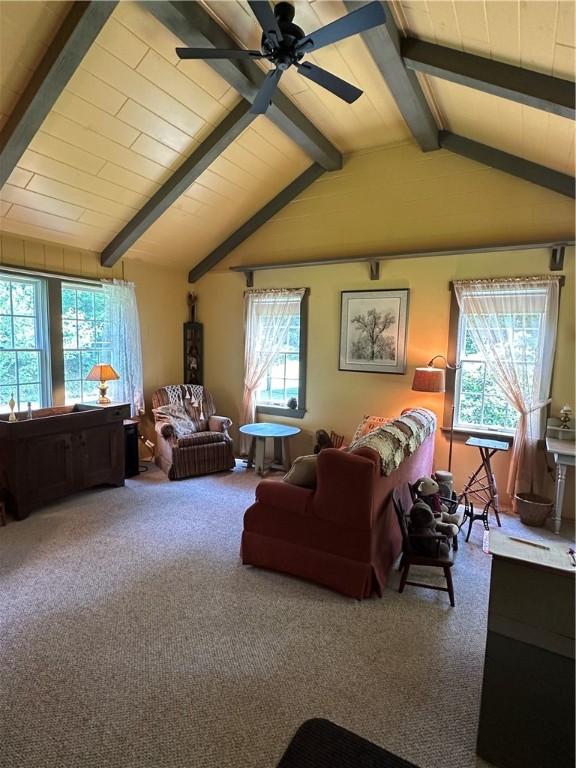 163 County Highway 4, Unadilla, NY 13849 - photo 11