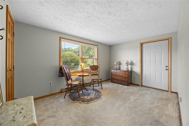 10100 Jordan Rd, Cato, NY 13080 - photo 21