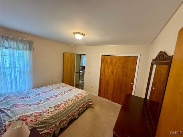 16 Locust Ave, Cortland, NY 13045 - bedroom featuring carpet floors and a closet
