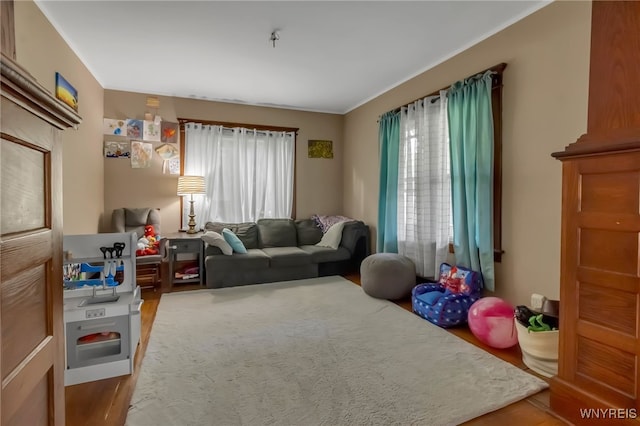 6467 Patchin Rd, Boston, NY 14025 - living area featuring wood finished floors and crown molding
