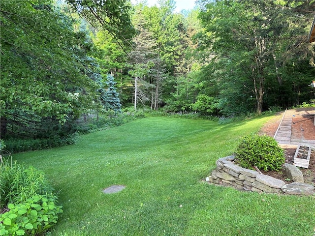 1237 County Highway 11, Davenport, NY 13860 - view of grassy yard featuring a view of trees