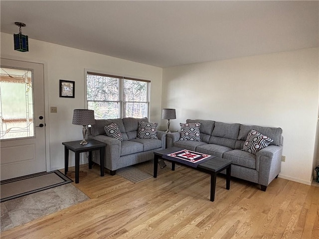 1237 County Highway 11, Davenport, NY 13860 - living area with light wood-style flooring and baseboards