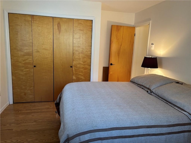 1237 County Highway 11, Davenport, NY 13860 - bedroom featuring wood finished floors and a closet